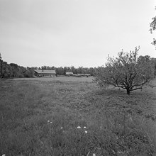 Odlingsmark och ladugårdar vid Riddersvik, Hässelby