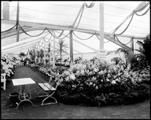 Konstindustriutställningen 1909 i Friesens park på Djurgården. Blomsterutställningen