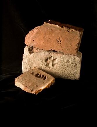 Tre medeltida tegelstenar med tassavtryck från olika tamdjur som hund, gris och katt. 