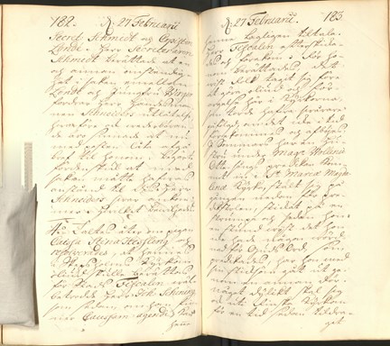Protokoll från Domkapitlet 27 februari 1734. Anteckningarna om oväsendet i kyrkan börjar under punkt 4.