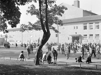 Svart-vit bild med en stor skolbyggnad i bakgrunden och barn på skolgården. Ett träd syns i förgrunden samt barn som lutar sig mot ett lågt staket.