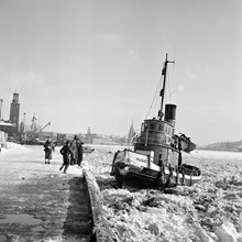 Bogserbåten Hugin vid Norr Mälarstrand. Stadshuset i bakgrunden till vänster. Hugins uppgift var att trycka ner så mycket av snön som tippats i vattnet som möjligt, så att ny snö kunde tippas.