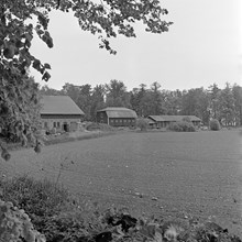 Odlingsmark och ladugårdar vid Riddersvik herrgård, Hässelby