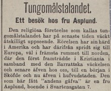 Tungomålstalandet. Ett besök hos fru Asplund - pressklipp 1907