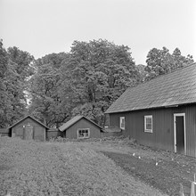 Riddersvik, Hässelby. Trädgårdsland och uthus