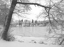 Södra Djurgården med Parkudden