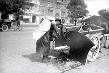Iskarl med isblock på ryggen vid sin häst och vagn på Strandvägen.