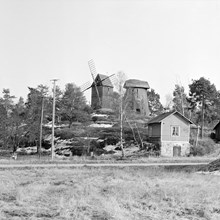 Rinkeby kvarnar