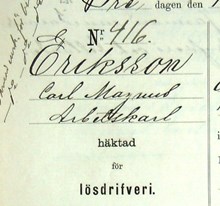 Arbetskarlen Carl Magnus Eriksson, 71, häktad för lösdriveri 12 juli 1889 - polisförhör