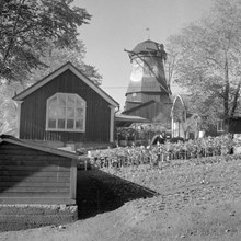 Prins Eugens Waldemarsudde. Orangeriet och kvarnen.