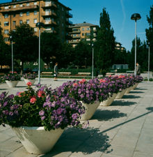 Blomsterurnor med pelargoner och petunior i södra Tessinparken. Vy åt norr. Närmast i fonden kv. Högvakten
