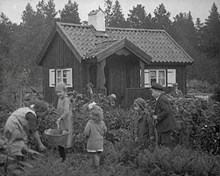 Koloniträdgårdar i Stockholm