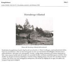 Hornsbergs villastad / Åke Abrahamsson