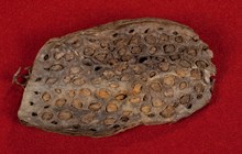 Medeltida pliggsula