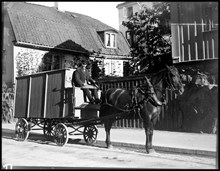 Högbergsgatan 51. Hästen Pärlan vid porten