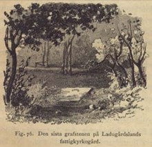 Farsoter  / Claes Lundin, August Strindberg