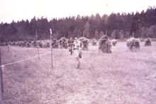 Skogsluffarna i orienteringstagen