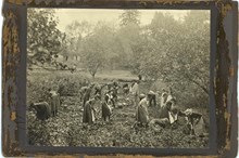 Skolträdgården vid Stora Blecktornet cirka 1910