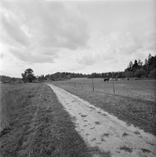 Utsikt från Spånga by