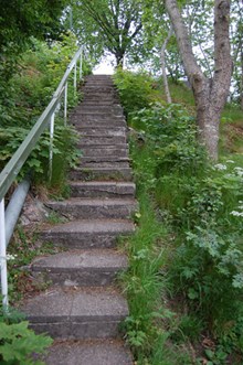 Stentrappa i Tantolundens koloniträdgårdsområde