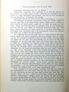 Professor Gustaf von Düben håller föredrag om tatueringar 1886 
