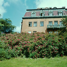 Balders Hage vid kv. Trädlärkan