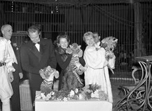 Stallmästaregården, Cirkus Zoo.