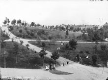 Kronobergsparken från Kronobergsgatan