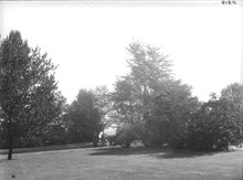 Frisens Park