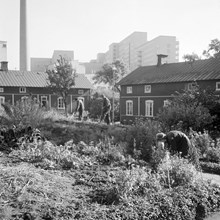 Arbetarbostäder vid Tanto Sockerbruk. Södersjukhuset i fonden