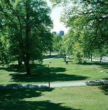 Humlegården; från Floras kulle åt Sydväst. Kungstornen i fonden