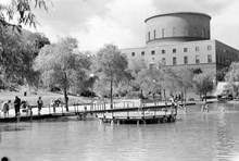 Observatorielunden. Barn leker och badar i plaskdamm. Stadsbiblioteket i bakgrunden