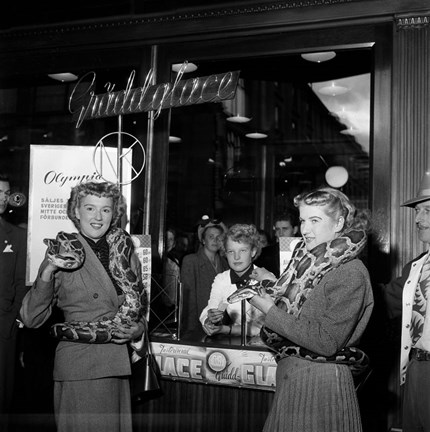 Cirkusdamerna Rose och Lydia ben Ahmed med pytonormar runt halsen. Damerna gör här framför NK:s glasskiosk vid Hamngatan 18-20 reklam för Cirkus Mijares-Schreiber föreställning.