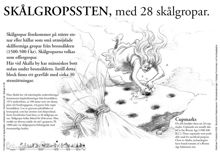 Skålgropsten med 28 skålgropar