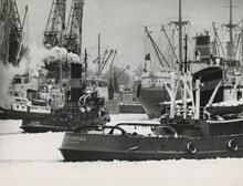 Frihamnen: Vinter i Frihamnen