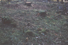 Brandgrav, anläggning nummer 18, fornlämning RAÄ 143 i Spånga socken