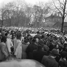 Fredsdagen 7:e maj 1945 i Stockholm. Stockholmarna i freds-rus ...