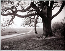 Norra Djurgården, utsikt från Kungliga Borgen över Ladugårdsgärdet