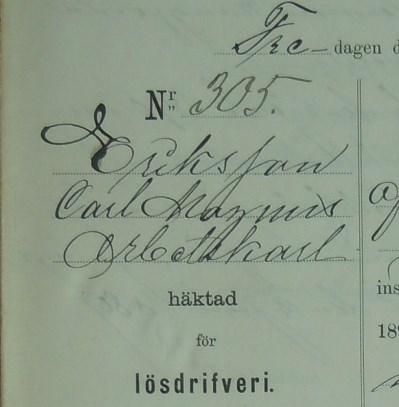 Arbetskarlen Carl Magnus Eriksson, 73, häktad för lösdriveri 19 juni 1891 - polisförhör.