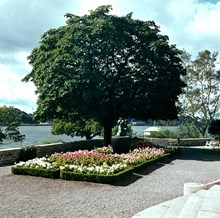 Prins Eugens Waldemarsudde. Slottsterrassen, med planteringar och rabatter. Vy mot Södermalm.