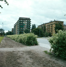 Från Tessinparkens norra del mot kv. Internationalen