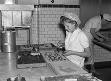 Sundbyberg. Fabriksarbeterskor arbetar med praliner i Marabous chokladfabrik
