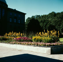 Observatorielunden. Plantering söder om plaskdammen vid Sveavägen