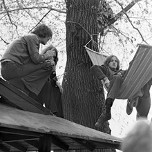 Kungsträdgården, maj 1971. Demonstrationer mot fällningen av almarna