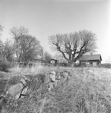 Akalla by på Järvafältet