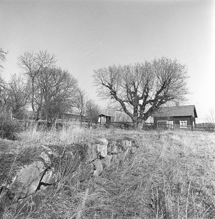 Gårdsmiljö