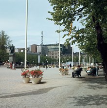 Kungsträdgården, planteringar och folkliv. Vy från parkens sydöstra del åt nordväst. I fonden Sverigehuset och Nordiska Kompaniet