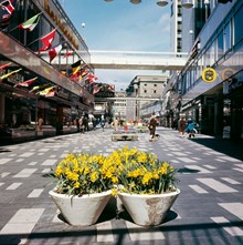 Blomsterurnor med påskliljor på Sergelgatan. Vy norrut