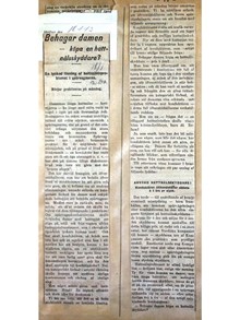 "Behagar damen – köpa en hattnålsskyddare?" - artikel Vårt Land 1913