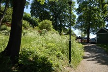 Tantolunden